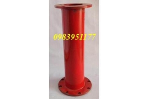 Chân trụ cứu hỏa 2 cửa DN100