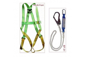 Dây đai an toàn ADELA 1 móc lớn H4-501 & E32