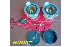 Họng tiếp nước chữa cháy tiêu chuẩn châu Âu DN100/65*2