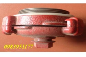 Nắp bịt ren ngoài D65 bằng gang