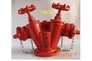 Trụ chữa cháy 2 họng 2 cửa